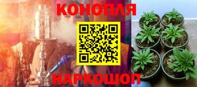 прущие грибы Мариинск