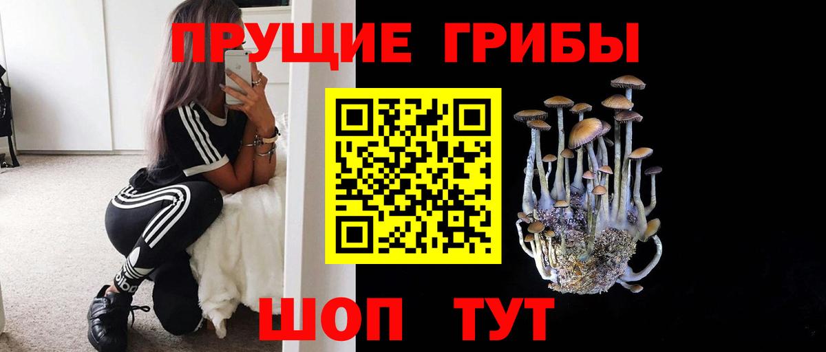 где продают   Вход с VPN  Великие Луки  Псилоцибиновые грибы Magic Shrooms 