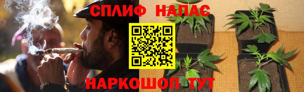 Канабис план  Конопля семена  Канабис Amnesia  Конопля SATIVA & INDICA  Вход с VPN  Великие Луки 